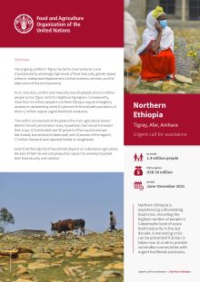 Northern Ethiopia | Urgent call for assistance
